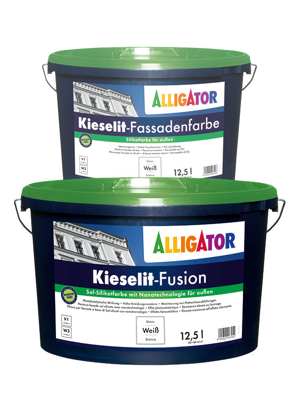 Kieselit, revêtements à base de silicate